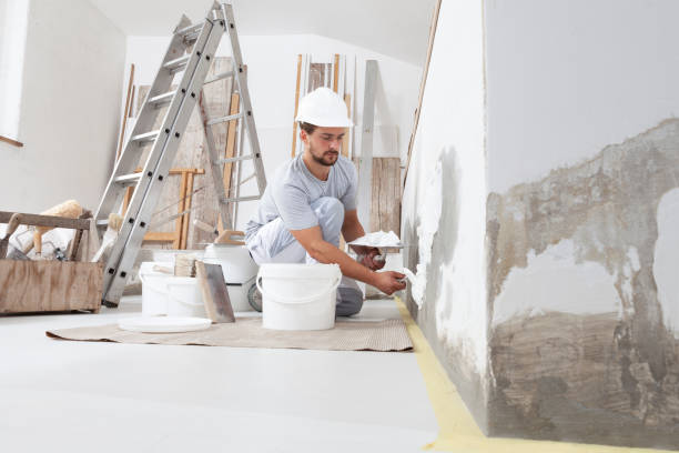 Trusted Andrews, NC Mold Removal Experts