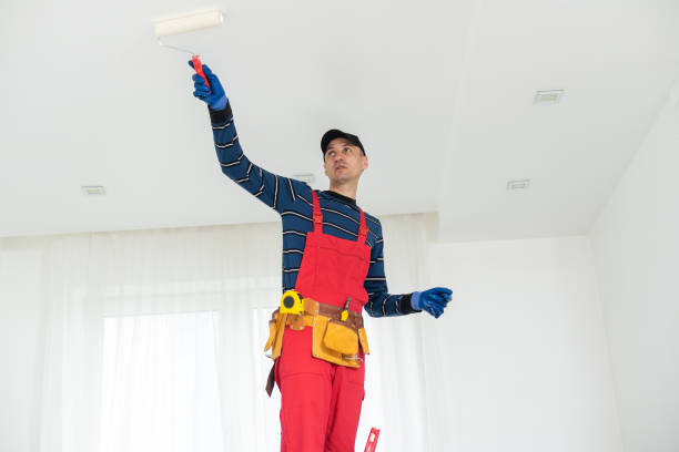 Best Attic Mold Removal  in Andrews, NC